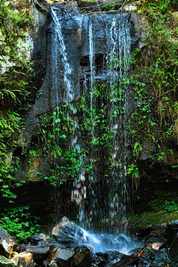 Camelot Boutique Accommodation Mount Tamborine Εξωτερικό φωτογραφία