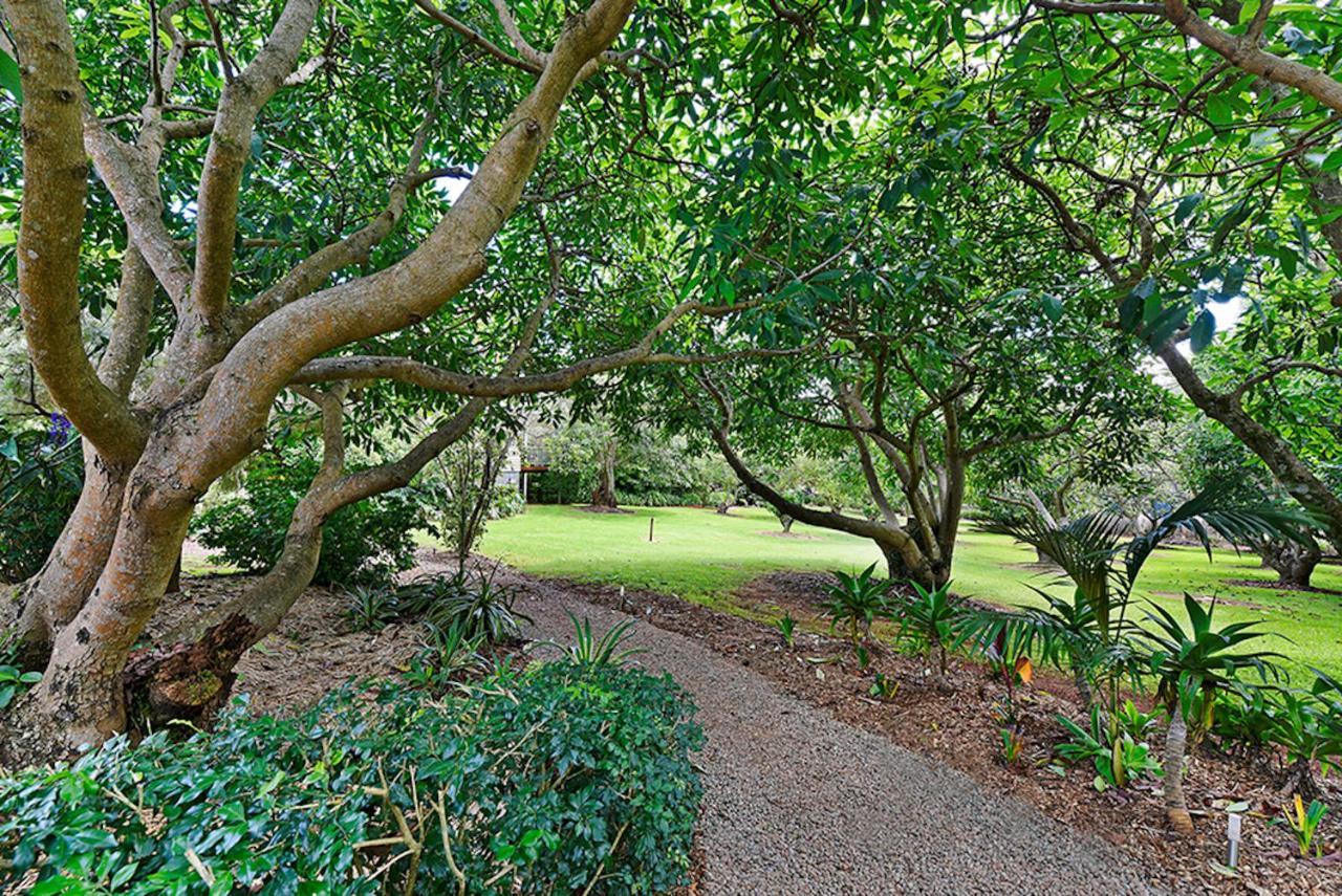 Camelot Boutique Accommodation Mount Tamborine Εξωτερικό φωτογραφία