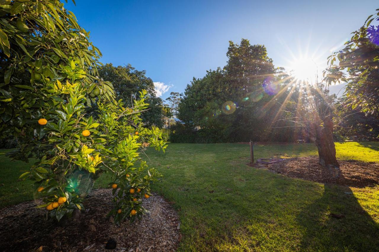 Camelot Boutique Accommodation Mount Tamborine Εξωτερικό φωτογραφία