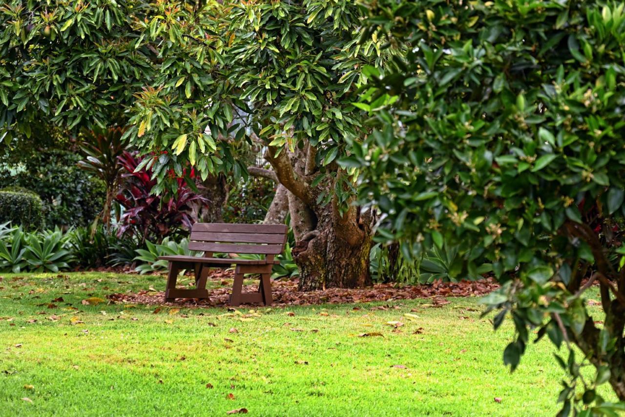 Camelot Boutique Accommodation Mount Tamborine Εξωτερικό φωτογραφία