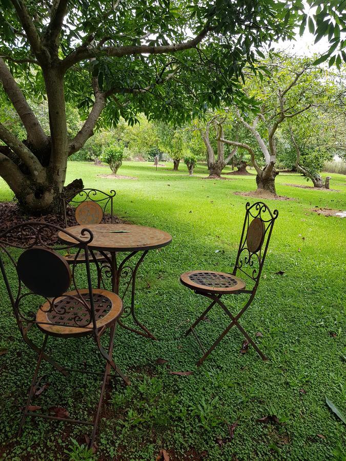 Camelot Boutique Accommodation Mount Tamborine Εξωτερικό φωτογραφία