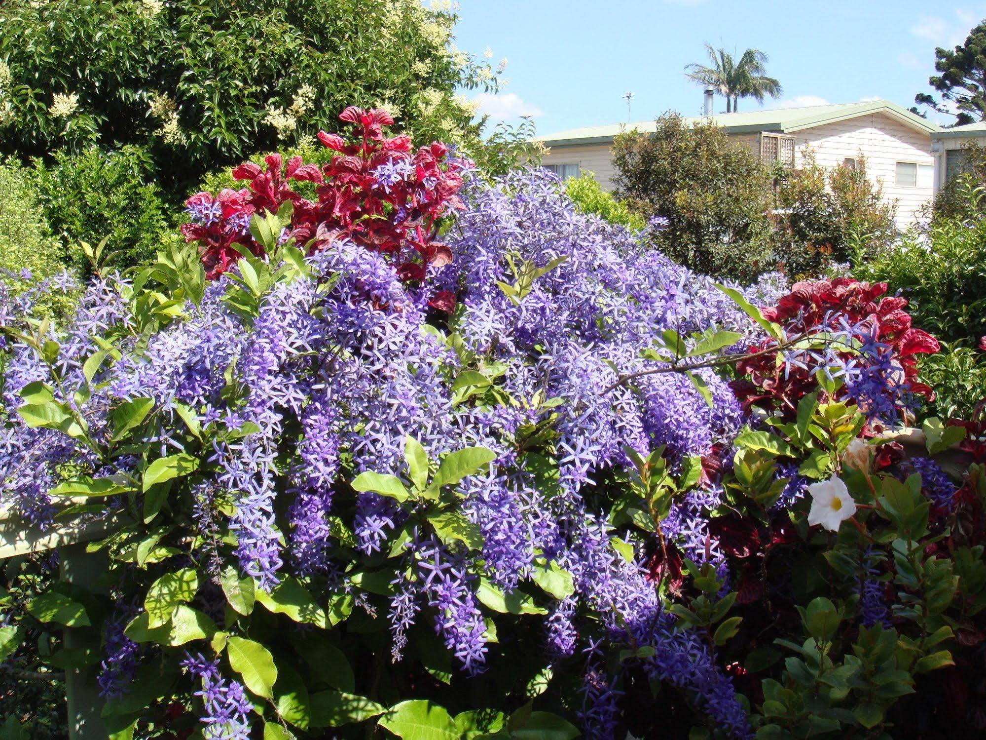 Camelot Boutique Accommodation Mount Tamborine Εξωτερικό φωτογραφία