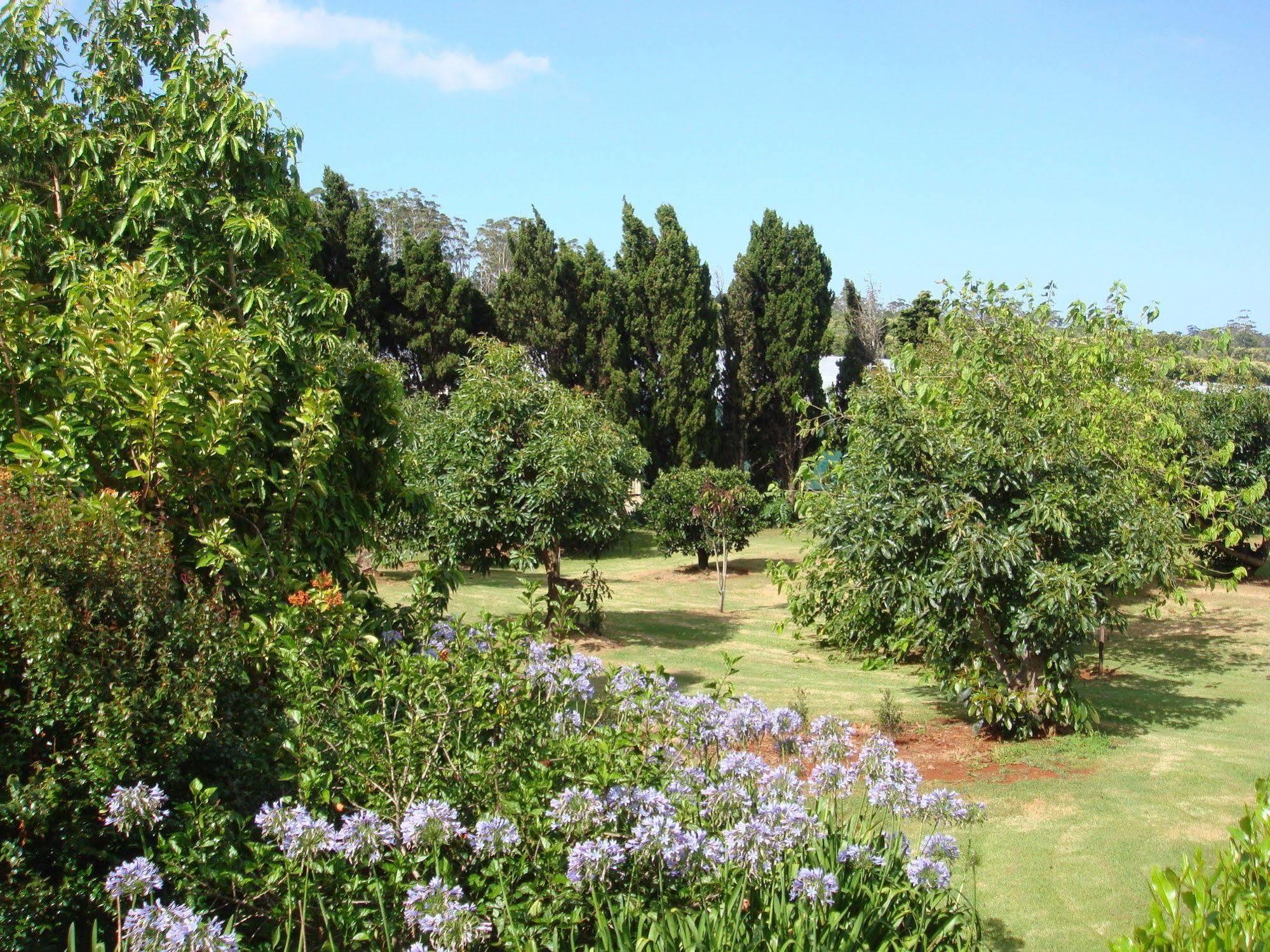 Camelot Boutique Accommodation Mount Tamborine Εξωτερικό φωτογραφία