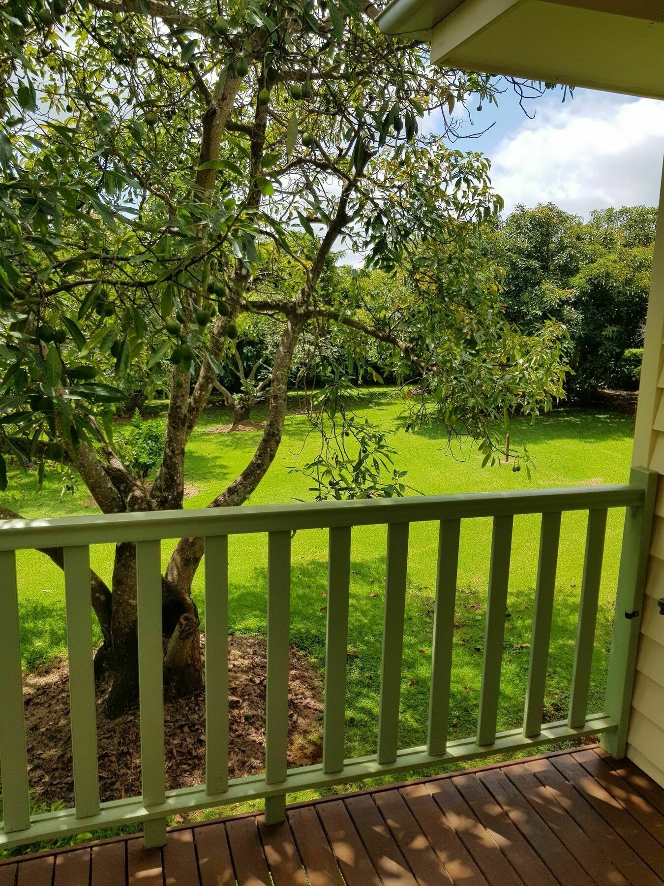 Camelot Boutique Accommodation Mount Tamborine Εξωτερικό φωτογραφία