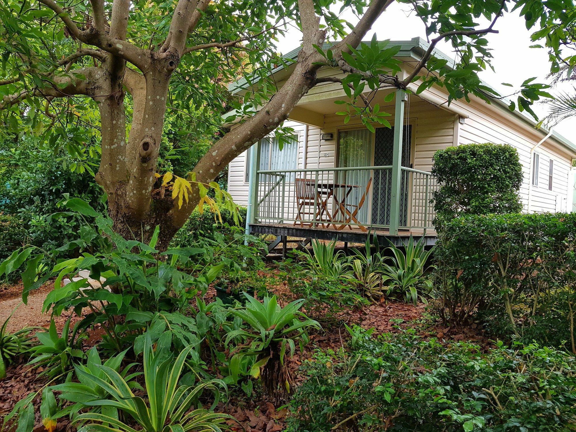 Camelot Boutique Accommodation Mount Tamborine Εξωτερικό φωτογραφία